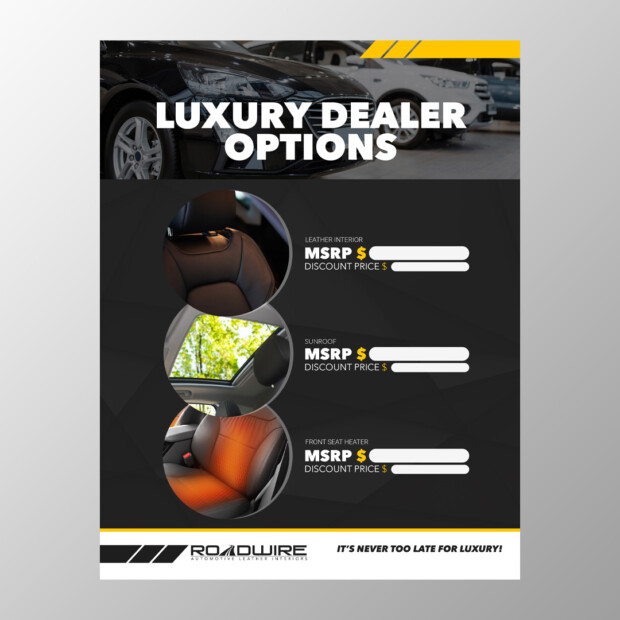 Sell Sheet Design 02 - Product Option